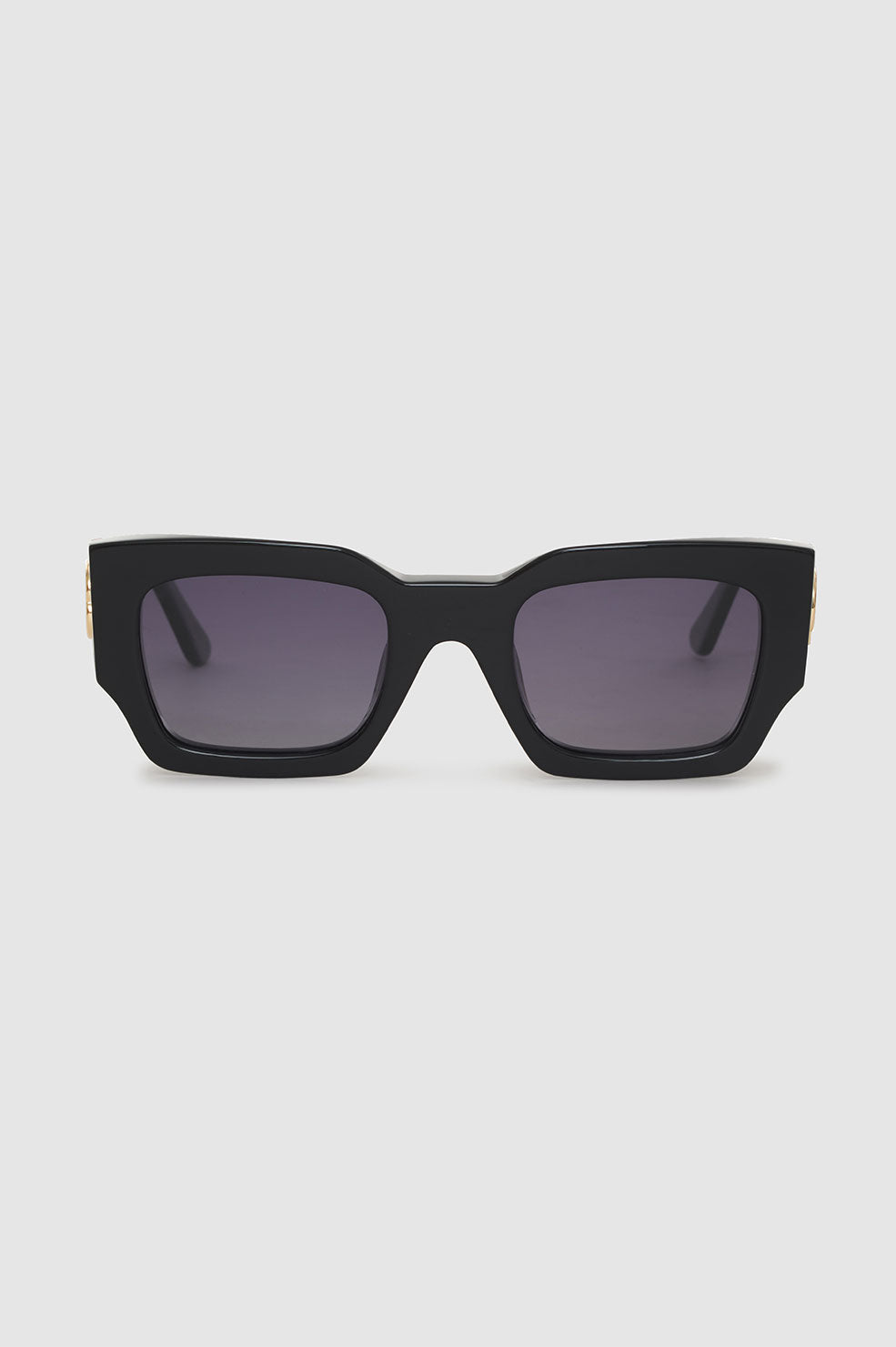 ANINE BING Indio Sunglasses Monogram in Black